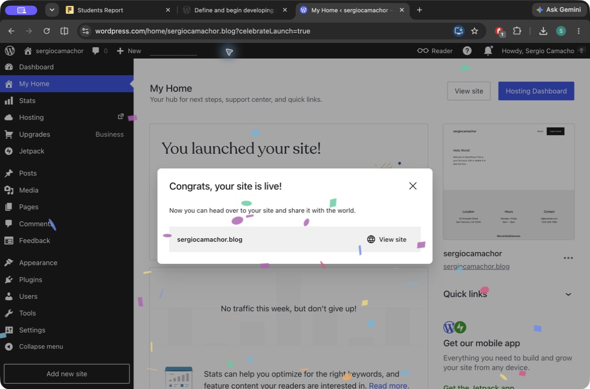 The WordPress site after launch